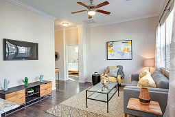 Horizon at Premier- 2 Horizon At Premier - Apartment 75023